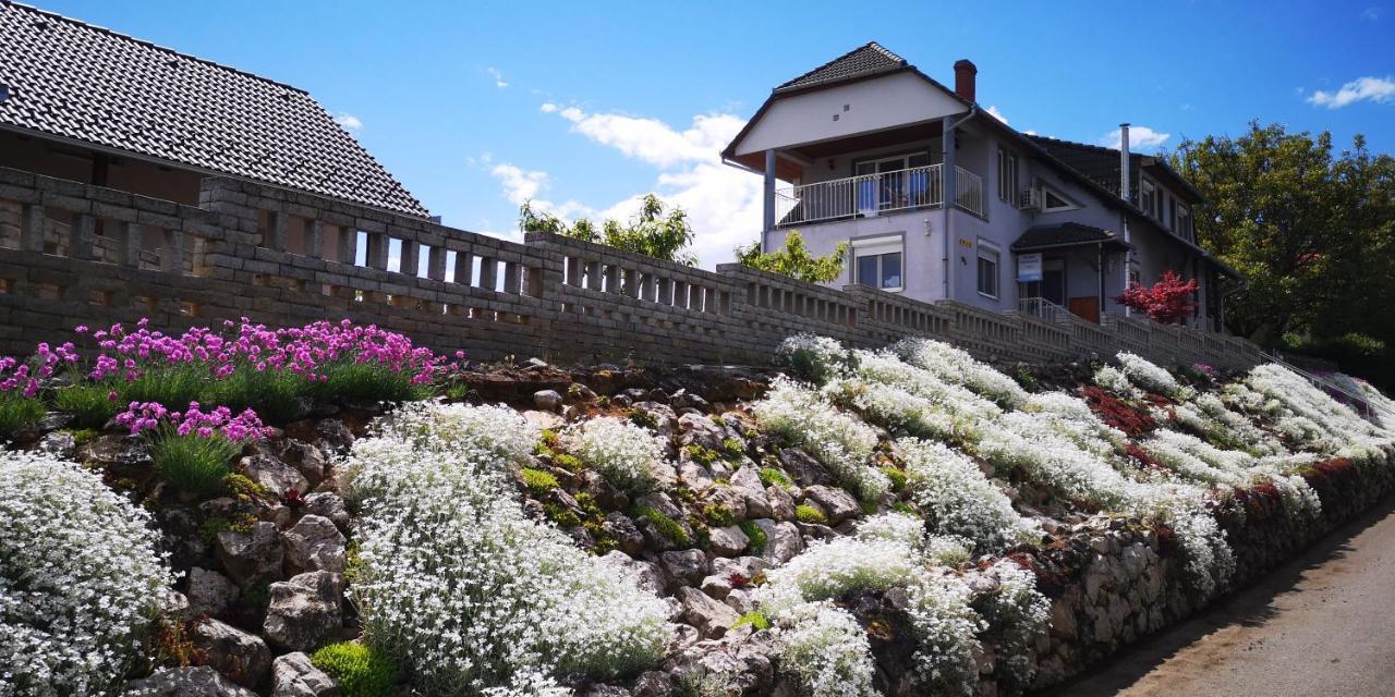 Szabo Vendeghaz Hotel Villany Exterior photo