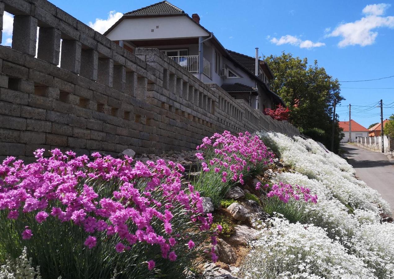 Szabo Vendeghaz Hotel Villany Exterior photo